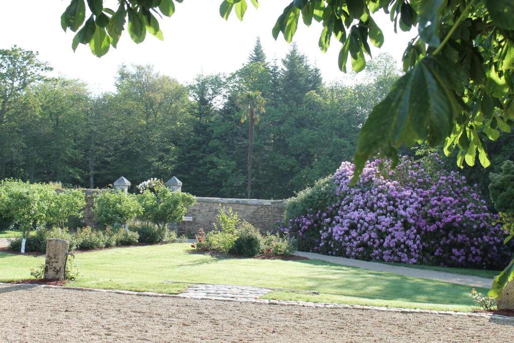 Manoir De Kerangosquer Acomodação com café da manhã Pont-Aven Quarto foto